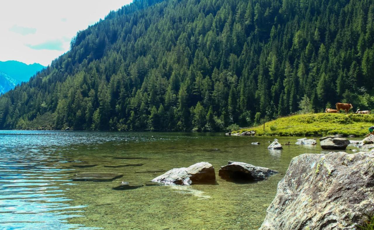 Ferienwohnungen Reinbacher - Primps Schladming Exteriör bild