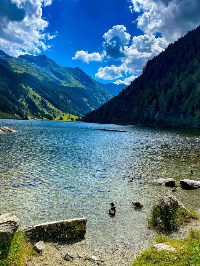 Ferienwohnungen Reinbacher - Primps Schladming Exteriör bild