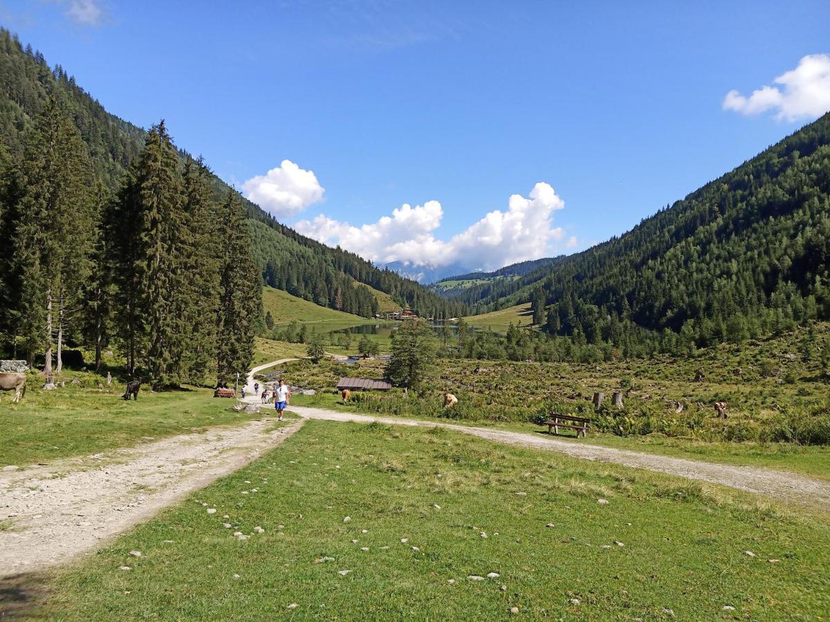 Ferienwohnungen Reinbacher - Primps Schladming Exteriör bild