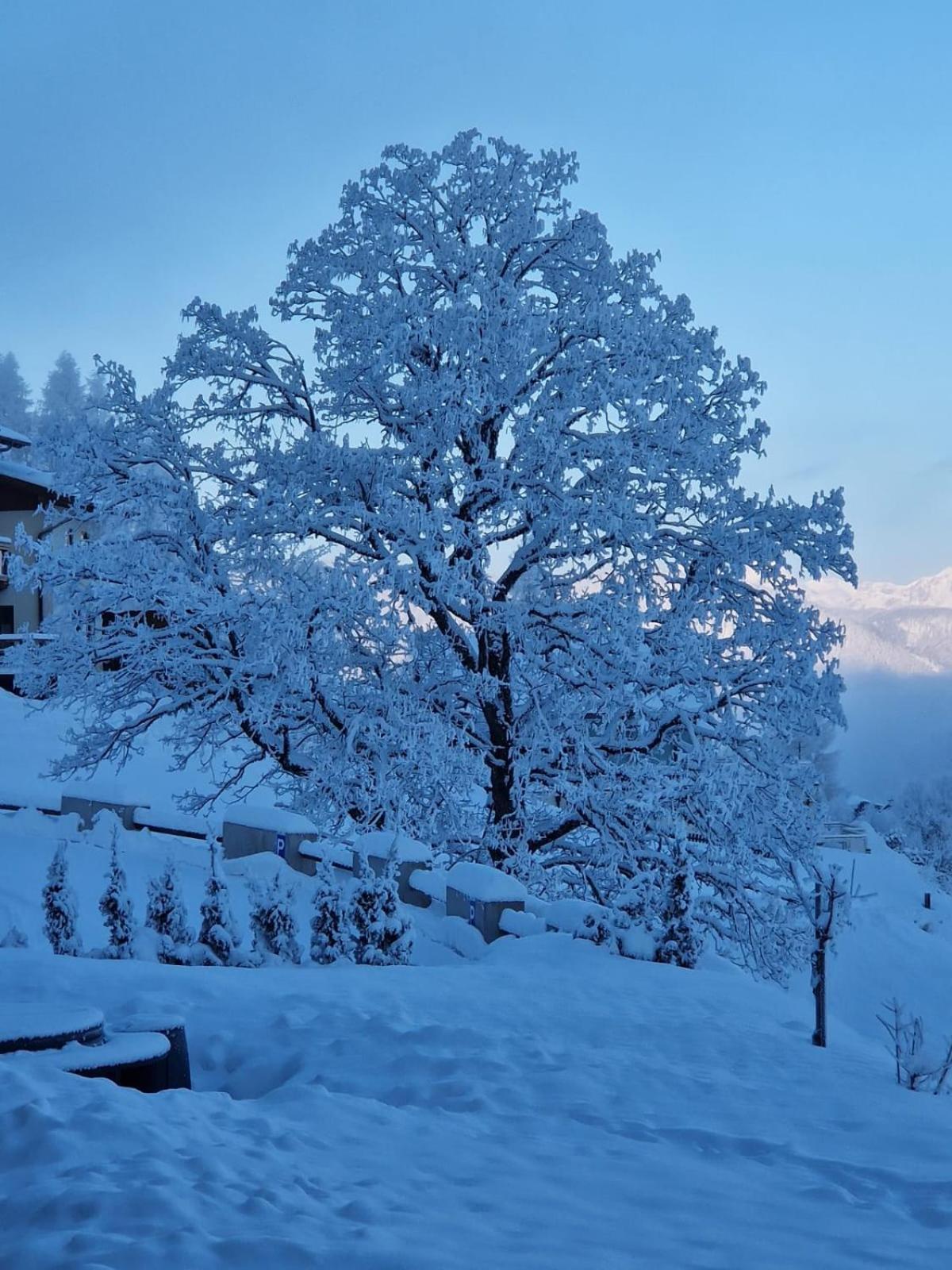 Ferienwohnungen Reinbacher - Primps Schladming Exteriör bild