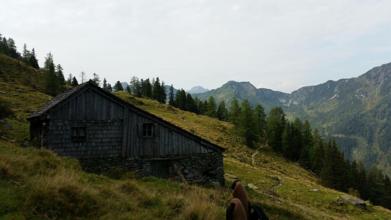 Ferienwohnungen Reinbacher - Primps Schladming Exteriör bild