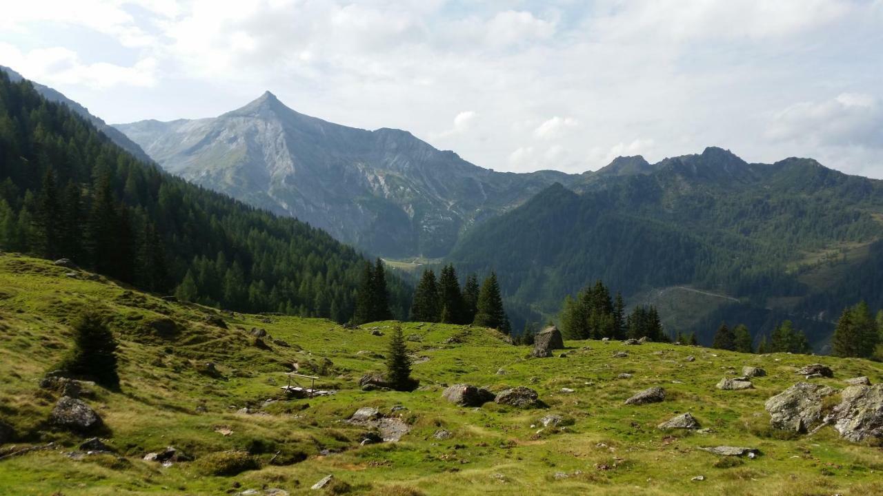 Ferienwohnungen Reinbacher - Primps Schladming Exteriör bild